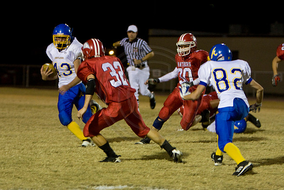 Panthers375