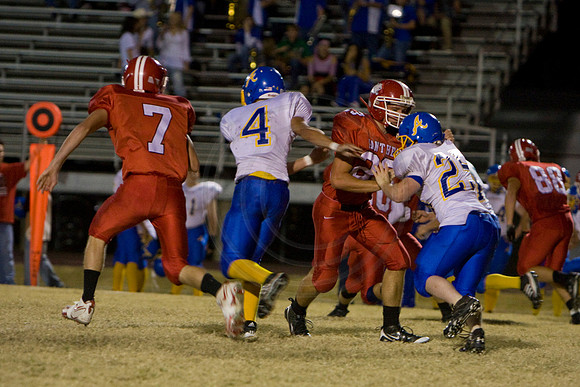 Panthers342