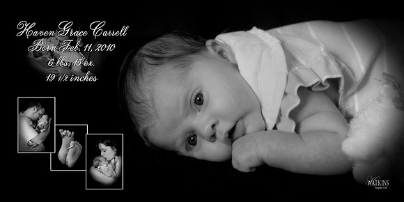 Hannah Composite 20x10
