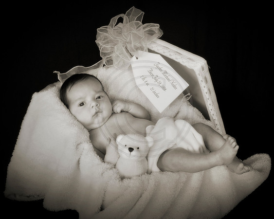 Jayden13sp54