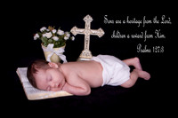 Jayden24cr
