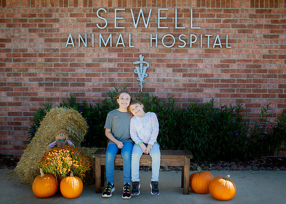 IM1_8462 Sewell ed