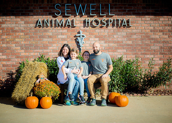 IM2_0102 Sewell_1 ed