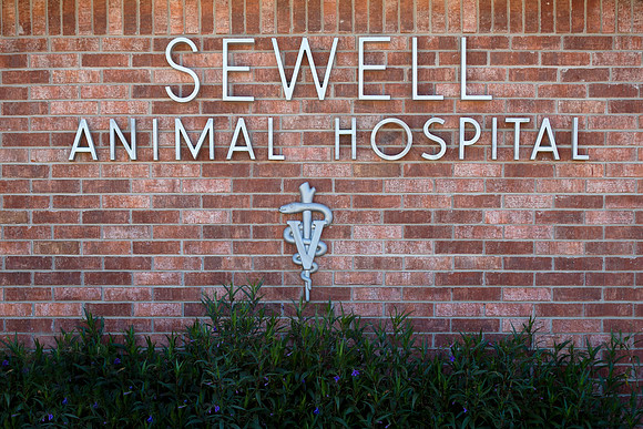 IM1_8451 Sewell ed