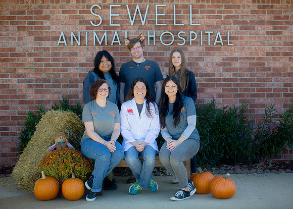 IM2_0004 Sewell ed