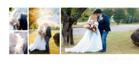 Page 11 Bride and Groom tree