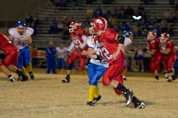 Panthers372