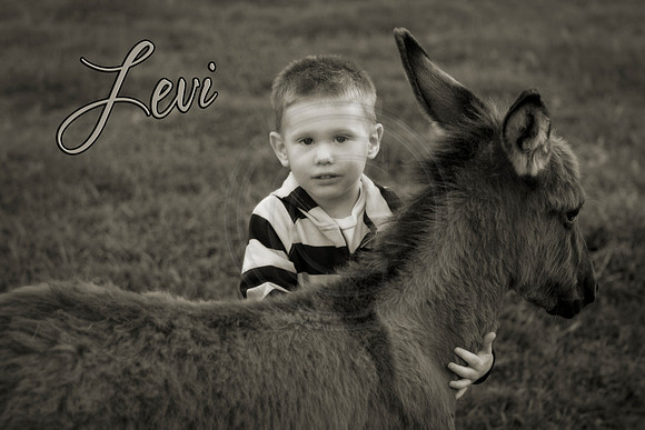 Levi22sp