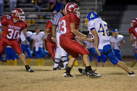 Panthers337