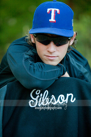 Gibson2085