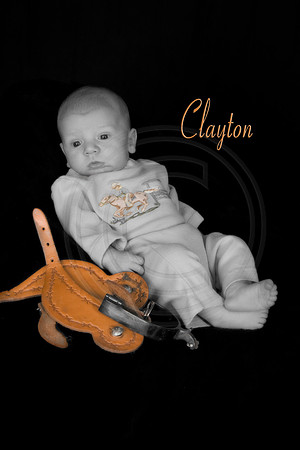 Clay50cr