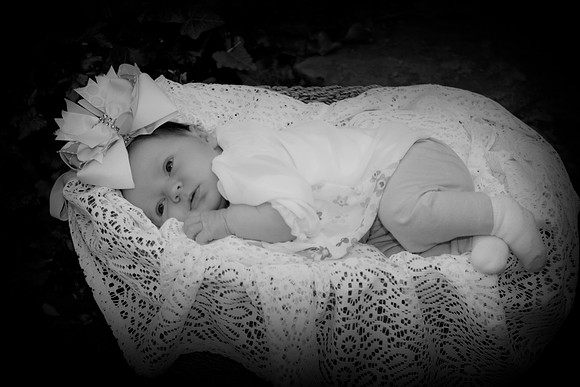 Davis306bw