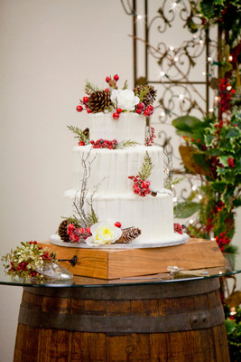 Gandee3058ed