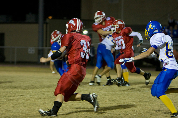 Panthers374