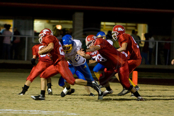 Panthers366
