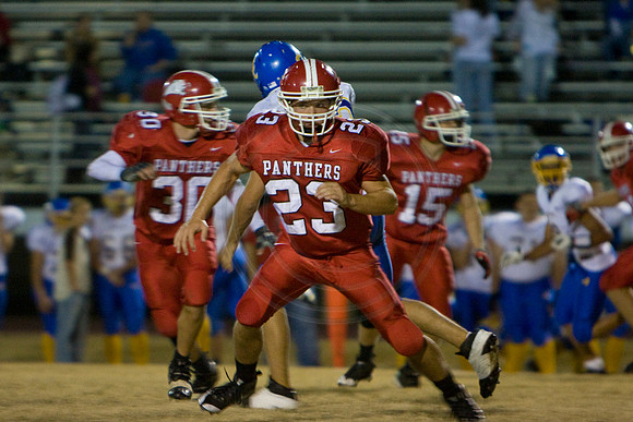 Panthers338