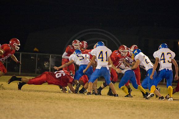 Panthers344