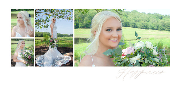Page 4 The Bride