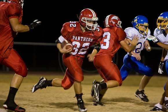 Panthers348