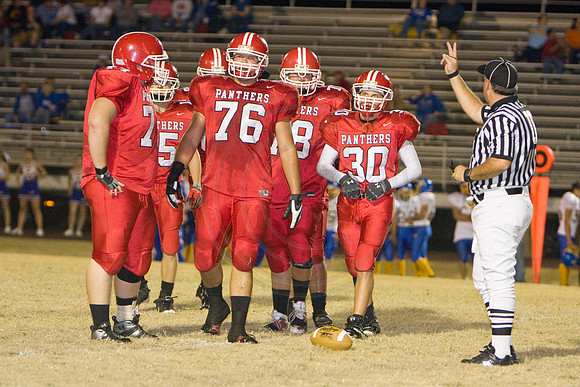 Panthers334