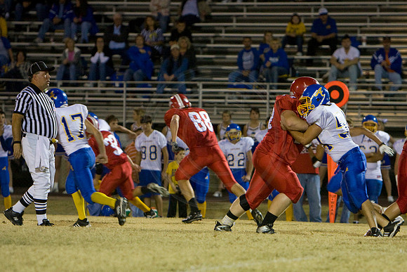 Panthers331