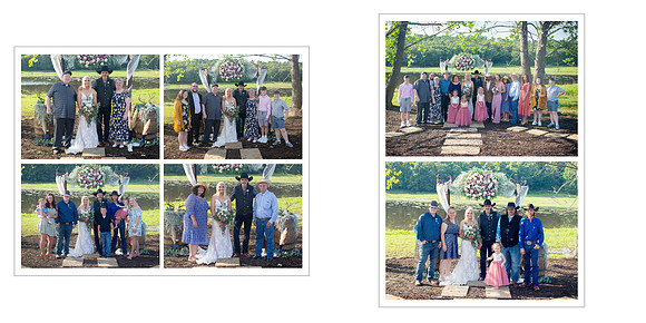 Page 17 Family groups