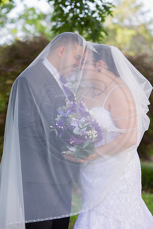 IM2_0495 BG