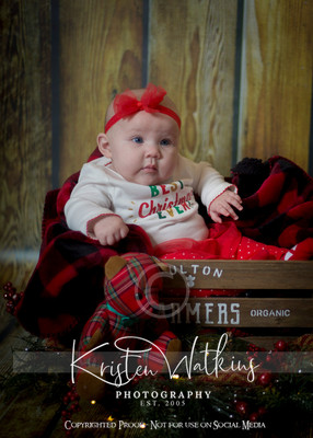 IMG_1232CR
