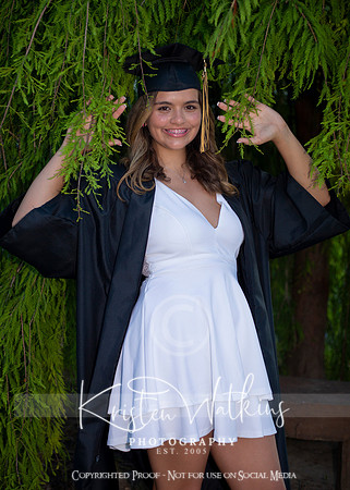 IMG_0613CR