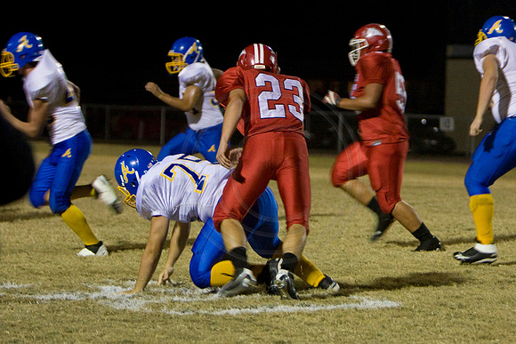 Panthers329
