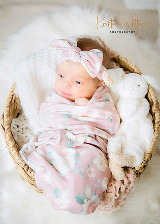 IMG_1508 ELF_2 fb
