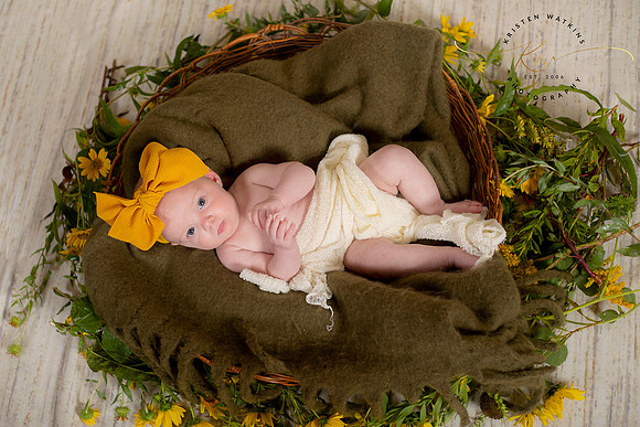 IMG_1156fb