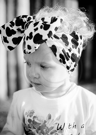 IMG_4241CR_1OR