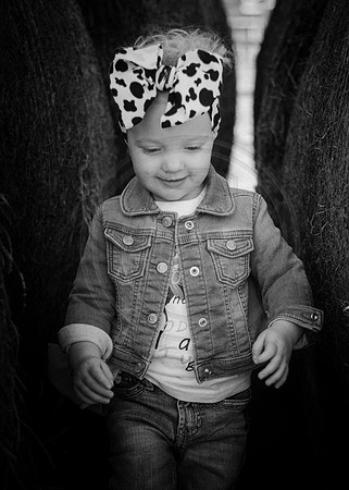 IMG_4453CR