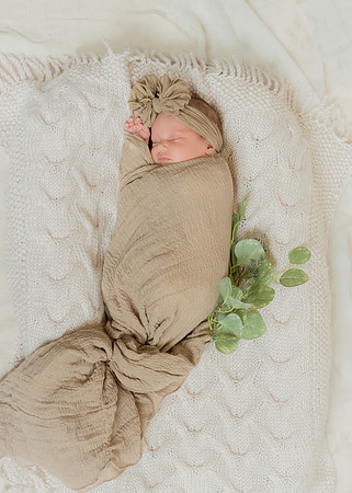IM1_0344 Brightyn_1