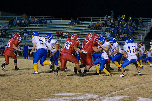 Panthers325