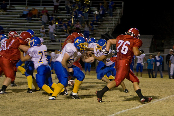 Panthers333