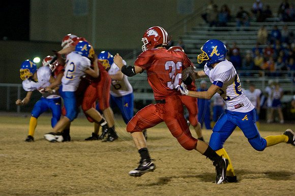 Panthers373