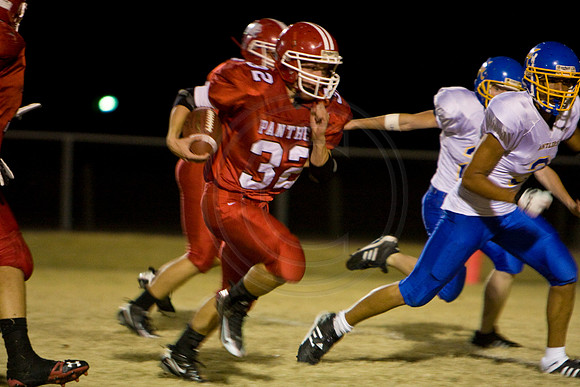 Panthers349