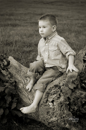 Levi36sepia