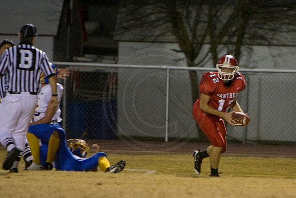 Panthers345