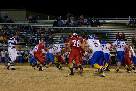 Panthers330