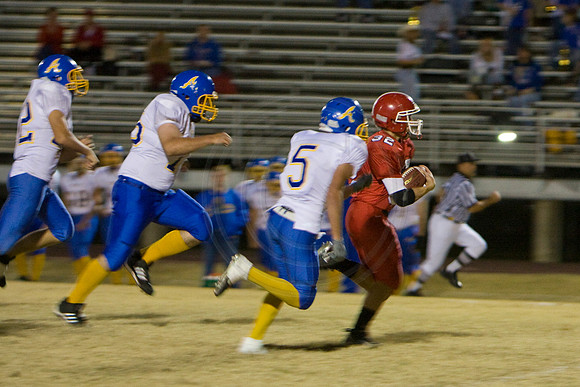 Panthers322