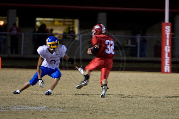 Panthers364