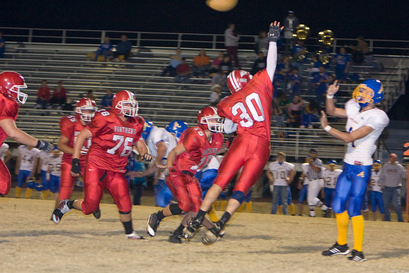 Panthers327