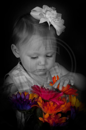 Blakly11cr