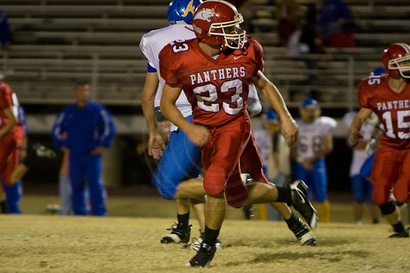 Panthers339