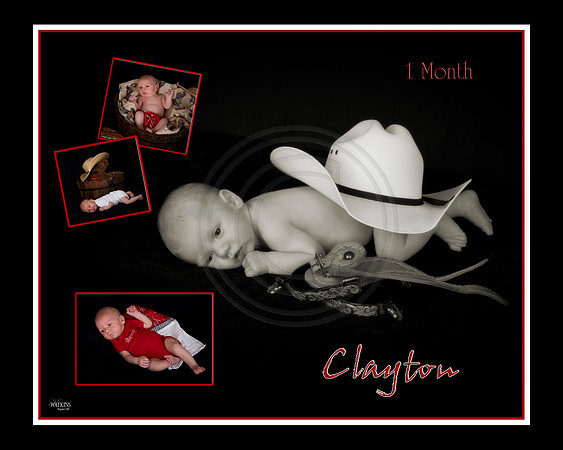 Clay Composite