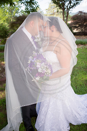 IM1_1145 BG