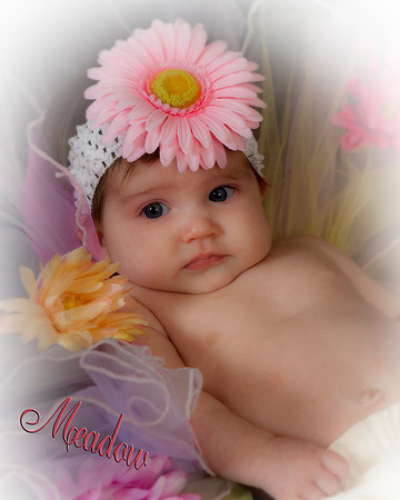 Meadow213cr54